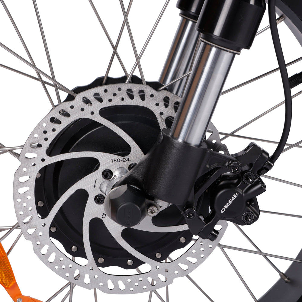 Ampd Bros ACE-X Demon: Dual Motor All-Terrain Electric Bike with Fat Tyres