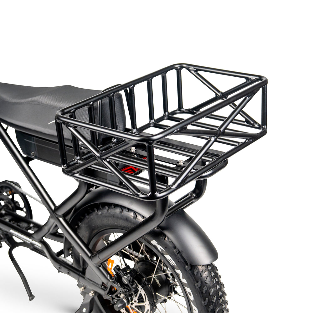ACE-S Cargo MAX Electric Bike: High Torque, Long Range, Fat Tyre