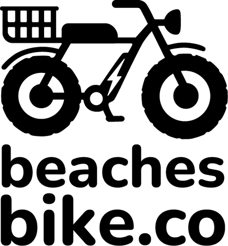 Essential e-Bike Service