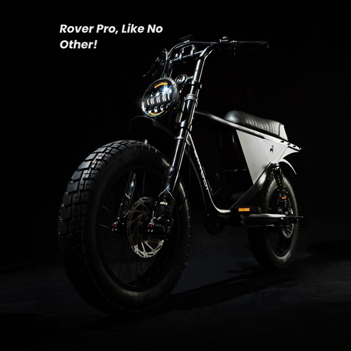 DiroDi Rover Pro 1000W Dual Suspension Electric Bike for Two