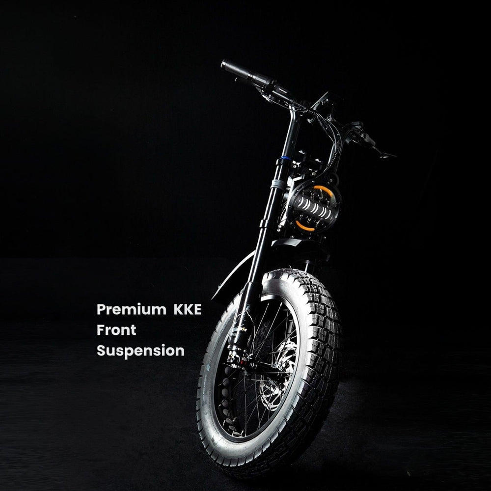 DiroDi Rover Pro 1000W Dual Suspension Electric Bike for Two