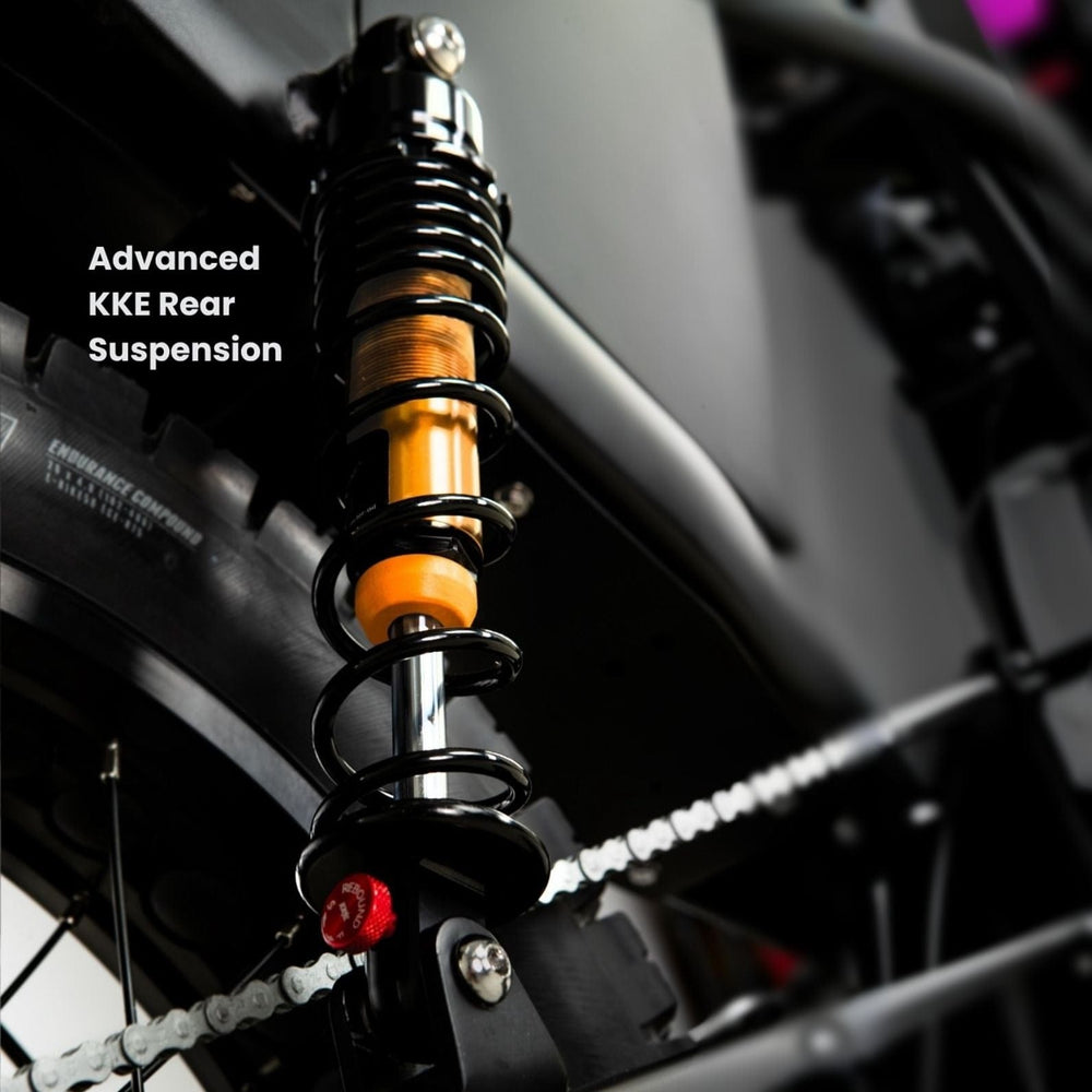 DiroDi Rover Pro 1000W Dual Suspension Electric Bike for Two