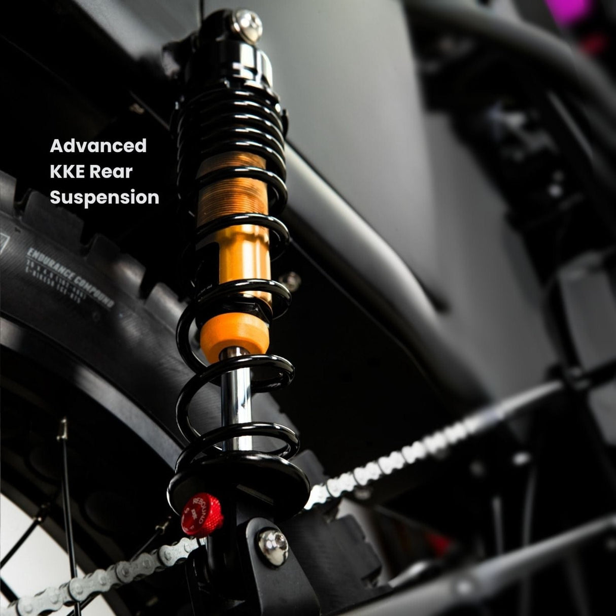 DiroDi Rover Pro 1000W Dual Suspension Electric Bike for Two