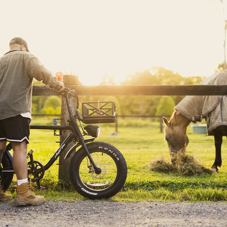 ACE E-Bike Front Cargo Rack & Basket System – Durable Aluminium, Matte Black