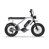 RTC HT Drift 1000W Electric Bike: Long-Range, Hydraulic Brakes, Rugged Urban Explorer