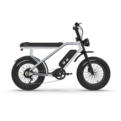RTC HT Drift 1000W Electric Bike: Long-Range, Hydraulic Brakes, Rugged Urban Explorer