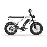 RTC HT Drift 1000W Electric Bike: Long-Range, Hydraulic Brakes, Rugged Urban Explorer