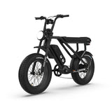 RTC HT Drift 1000W Electric Bike: Long-Range, Hydraulic Brakes, Rugged Urban Explorer
