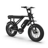 RTC HT Drift 1000W Electric Bike: Long-Range, Hydraulic Brakes, Rugged Urban Explorer