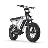 RTC HT Drift 1000W Electric Bike: Long-Range, Hydraulic Brakes, Rugged Urban Explorer
