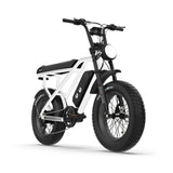 RTC HT Drift 1000W Electric Bike: Long-Range, Hydraulic Brakes, Rugged Urban Explorer