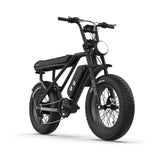RTC HT Drift 1000W Electric Bike: Long-Range, Hydraulic Brakes, Rugged Urban Explorer