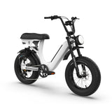 RE Pilgrim Electric Step-Through Commuter Bike - 750W Motor, Dual Suspension