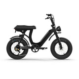 Riide Tiime RE Pilgrim Step-Through Dual Suspension e-Bike