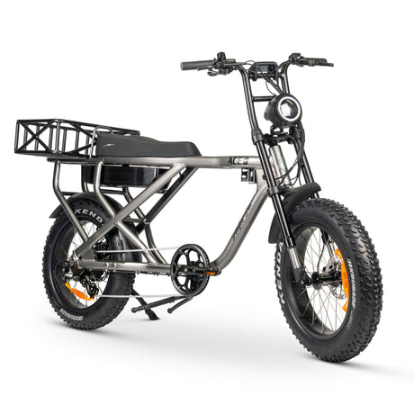 ACE-X Cargo MAX Electric Bike: Heavy-Duty, High Torque, Long Range E-Bike