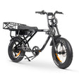 ACE-X Cargo MAX Electric Bike: Heavy-Duty, High Torque, Long Range E-Bike