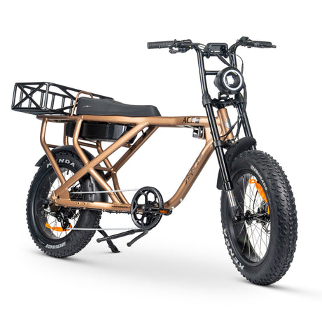 ACE-X Cargo MAX Electric Bike: Heavy-Duty, High Torque, Long Range E-Bike