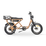 ACE-S Cargo MAX Electric Bike: High Torque, Long Range, Fat Tyre
