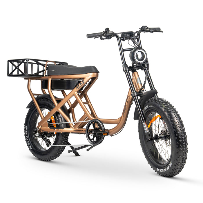ACE-S Cargo MAX Electric Bike: High Torque, Long Range, Fat Tyre