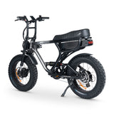 Ampd Bros ACE-X Demon: Dual Motor All-Terrain Electric Bike with Fat Tyres