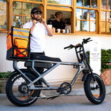 ACE-X Cargo MAX Electric Bike: Heavy-Duty, High Torque, Long Range E-Bike