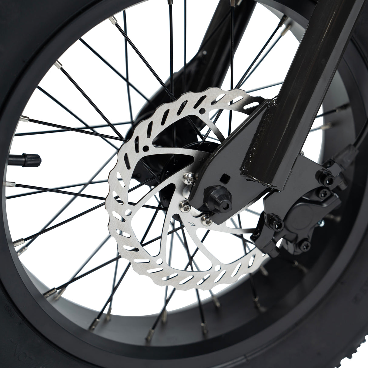 Lil Rippa 16-inch Kids Fat Tyre Electric Bike: Powerful, Safe, Adventure-Ready