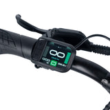 Lil Rippa 16-inch Kids Fat Tyre Electric Bike: Powerful, Safe, Adventure-Ready