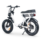 ACE-S Plus+ Electric Fat Tyre Bike - Enhanced Suspension, Bafang Motor, 80km Range