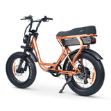 ACE-S Plus+ Electric Fat Tyre Bike - Enhanced Suspension, Bafang Motor, 80km Range