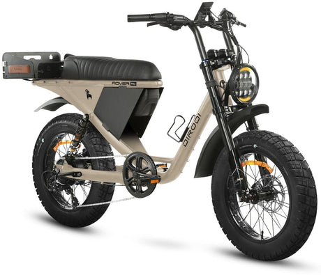 DiroDi Rover Pro 1000W Dual Suspension Electric Bike for Two
