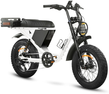 DiroDi Rover Pro E-Bike: Dual Suspension, Two-Person, Road-Legal Adventure