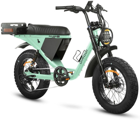 DiroDi Rover Pro E-Bike: Dual Suspension, Two-Person, Road-Legal Adventure
